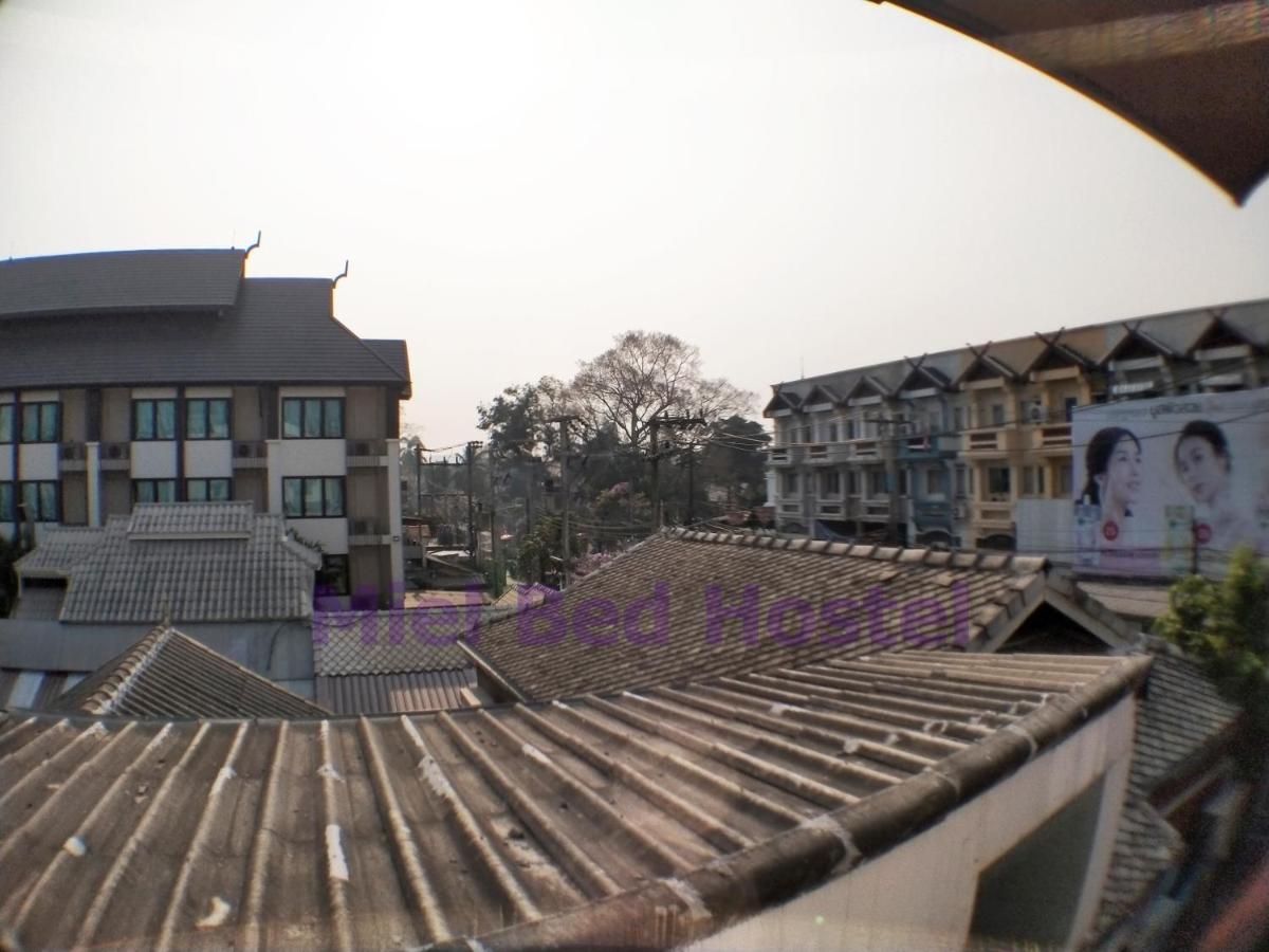 Miel Bed Hostel & Gallery Chiang Mai Exterior photo